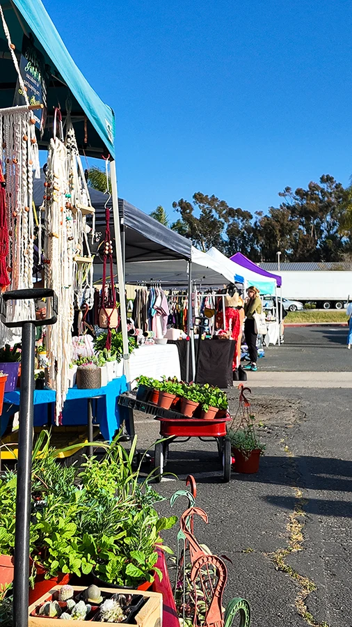 Fiesta Street Market