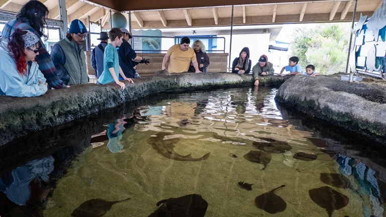Living Coast Discovery Center